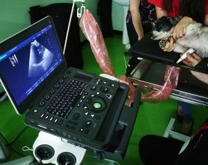 Echipamente ecografie